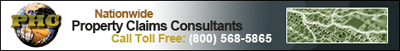 Lightning Damage Services Illinois