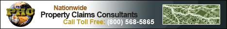 Lightening Damage Service in Illinois