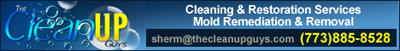 Mold Removal Cleanup Chicago Illinois