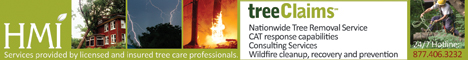 Tree Removal Services